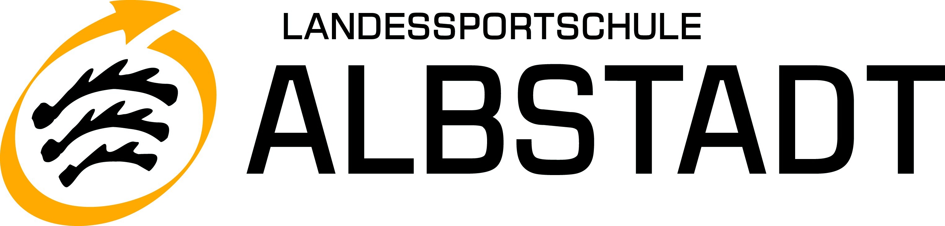 LSSA-Logo
